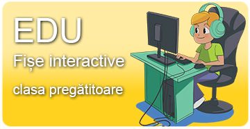 Fișe interactive