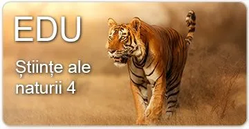 Științe ale naturii 4